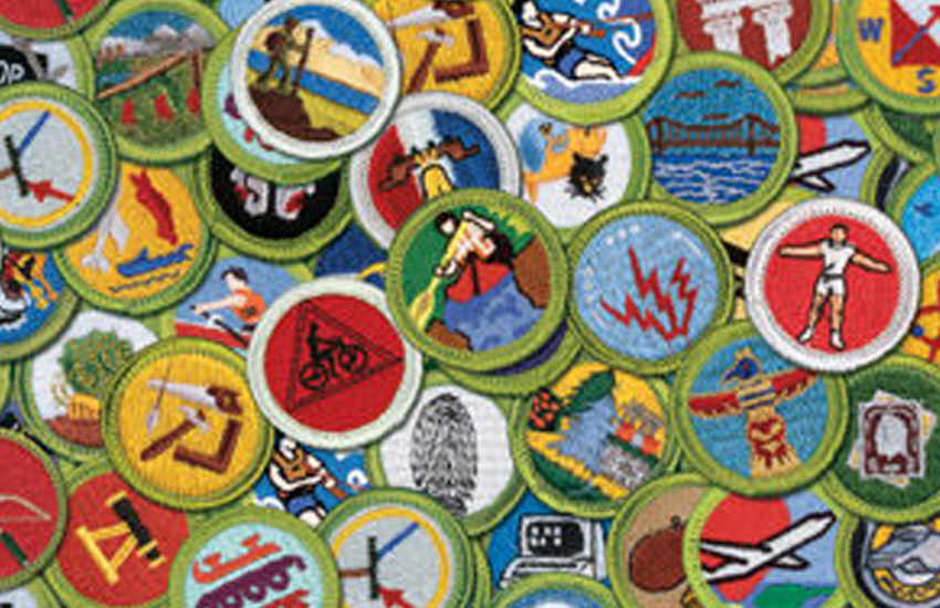 Merit Badges and Young Scouts [SMD020]