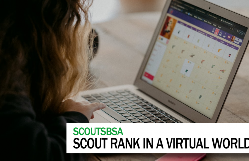 Scout Rank in a virtual world