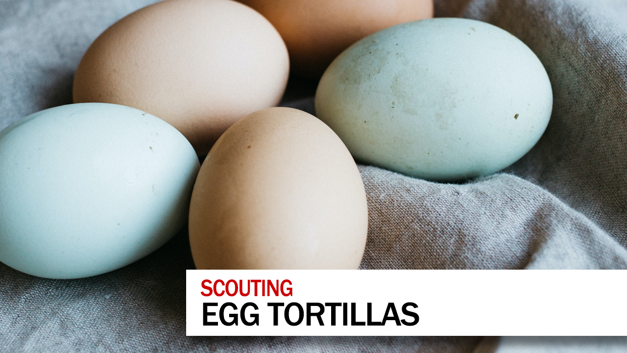 Egg Tortillas [SMD150]